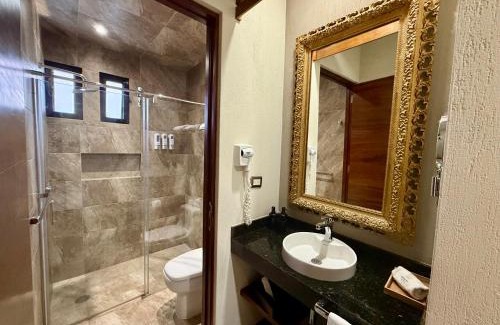 San Luis Potosi Hotel | Hotel Arista 1026