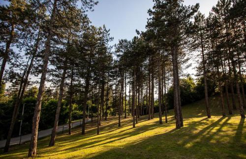 Bosnia Hotel | Hotel Babino Brdo