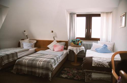 Wurzburg City Centre Hotel | Hotel Barbarossa Garni
