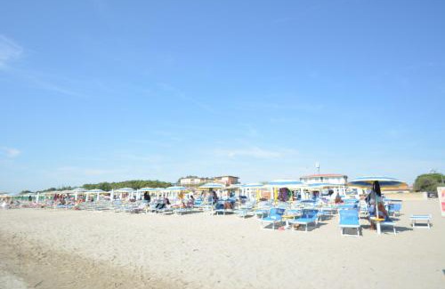 Casal Borsetti Hotel | Hotel BELLA ROMAGNA