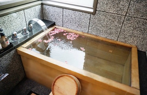 Shinkashio Onsen Hotel | Hotel Blancvert Nasu