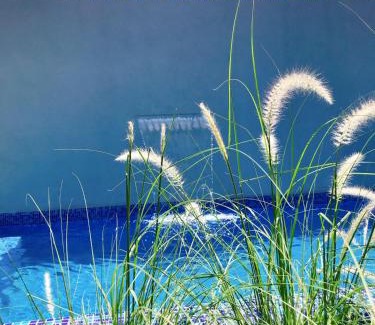 Cuatro Cienegas Hotel | Hotel Casa Nodin