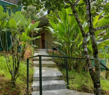 Drake Bay Hotel | Hotel Cabinas Murillo