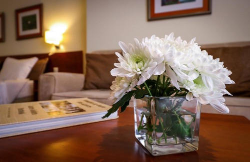 Ponta Delgada Hotel | Hotel Camões