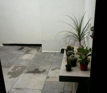 Reforma Hotel | Hotel Carlota