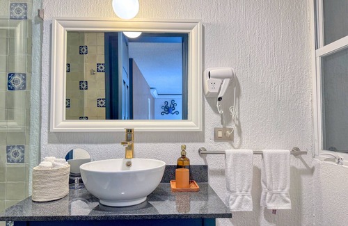 Coyoacan Hotel | Hotel Casa Alebrije: Suite Deluxe Doble Queen - 03