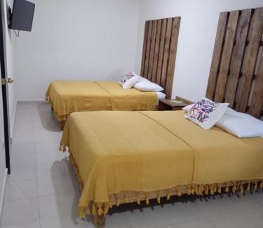 Zona Centro Hotel | Hotel Cassaterra