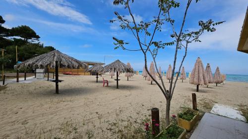 Silvi Hotel | Hotel Cerrano