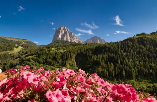 Santa Cristina Val Gardena House | Hotel Ciamp