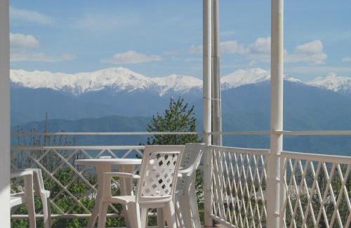 Telavi Hotel | Hotel Classic