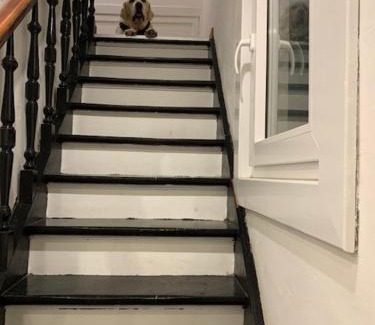 Knokke Hotel | Hotel De Backer