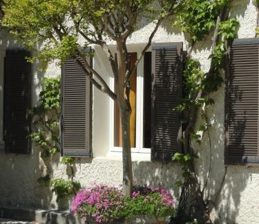 Avignon Hotel | Hotel de l'île