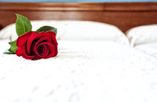 Cangas de Onis Hotel | Hotel Eladia