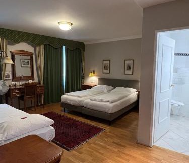 Wels Hotel | Hotel Gösser Bräu