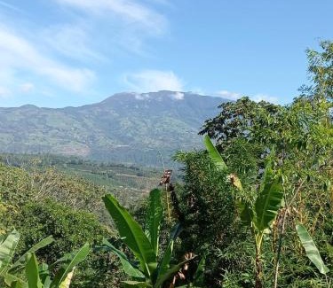 Turrialba Hotel | Hotel Green Mountain turrialba