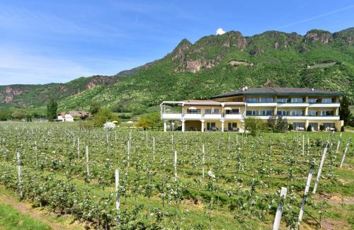 Settequerce Hotel | Hotel Greifenstein