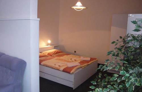 Vrsovice Hotel | Hotel Hasa