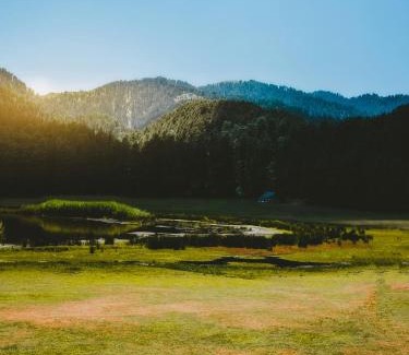 Banikhet Hotel | Hotel Honeymoon In Dalhousie #Only Couple and family allowed