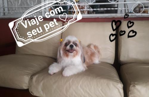 Taubate Hotel | Hotel Ideal Taubaté
