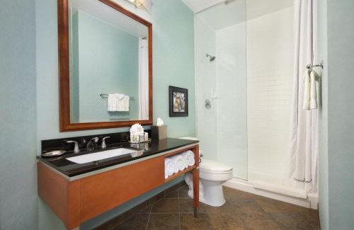 Downtown San Antonio Hotel | Hotel Indigo San Antonio Riverwalk by IHG