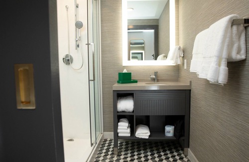 Downtown St. Louis Hotel | Hotel Indigo St. Louis - Downtown by IHG