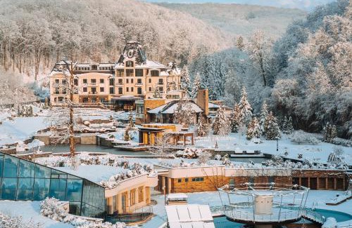 Nyzhnje Solotvyno Hotel | Hotel Irys by Derenivska Kupil