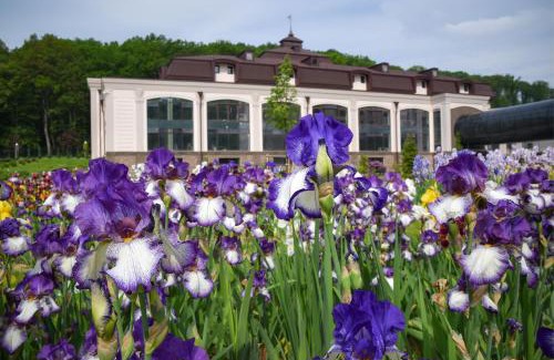 Nyzhnje Solotvyno Hotel | Hotel Irys by Derenivska Kupil