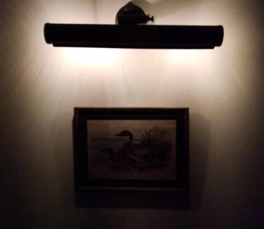 Pink City Hotel | Hotel Jai Niwas