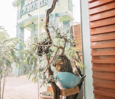 Guiuan Hotel | Hotel La Maria