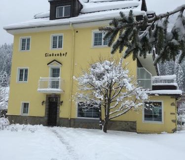 Bad Gastein Hotel | Hotel Lindenhof