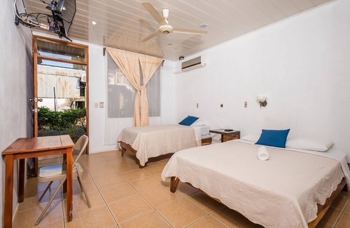 Canas Hotel | Hotel Liwi