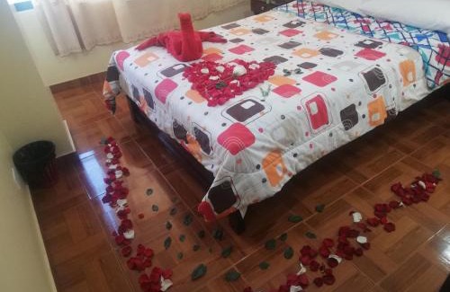 Chimborazo Province Hotel | Hotel Navarra