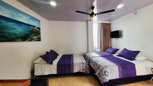 San Andres Hotel | Hotel Olas