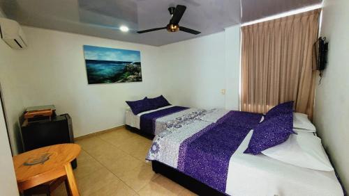 San Andres Hotel | Hotel Olas