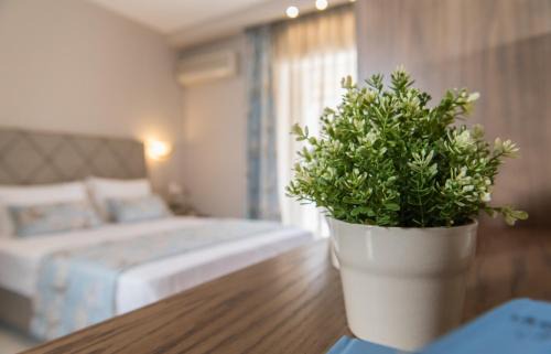 Sarti Hotel | Hotel Olga