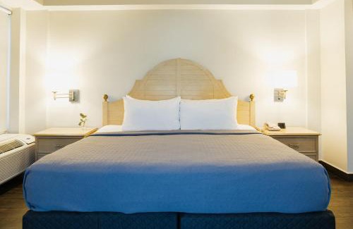 Monterrey Centro Hotel | Hotel Parque Central