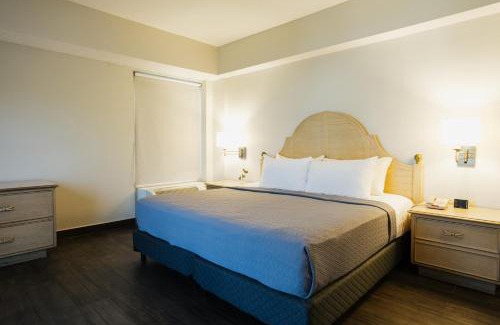 Monterrey Centro Hotel | Hotel Parque Central
