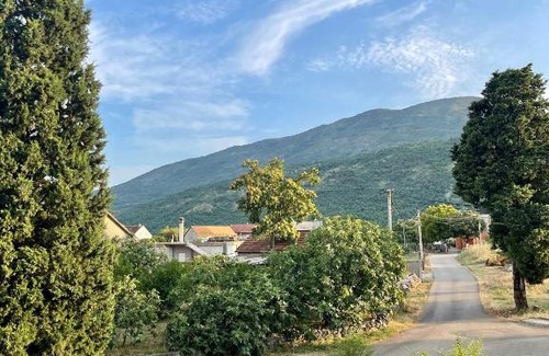 Danilovgrad Hotel | Hotel Perjanik