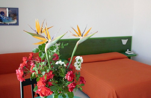 Palau Hotel | Hotel Piccada