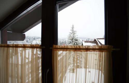 Predeal Hotel | Hotel Piemonte