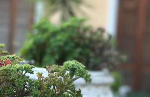 Imperia Hotel | Hotel Piemontese