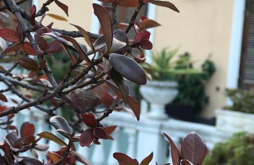 Imperia Hotel | Hotel Piemontese