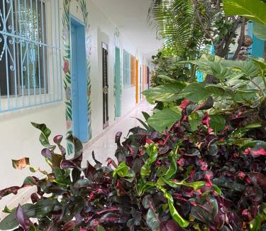 Colonia Centro Hotel | Hotel Posada Edem