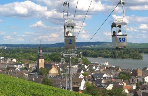 Mainz-Bingen Hotel | Hotel Rüdesheimer Hof