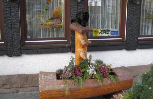 Baiersbronn Hotel | hotel rappen