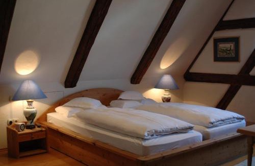 Erlangen Hotel | Hotel Schwarzer Adler
