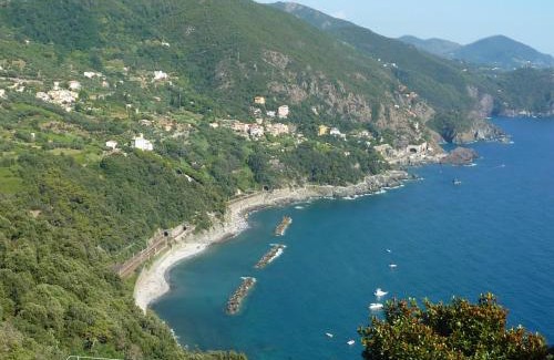 Costa Hotel | Hotel Silvia Framura - Cinque Terre