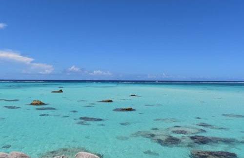 Miyakojima Hotel | Hotel South Island