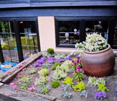 Menden-Holthausen Hotel | Hotel&Spa am Oppspring