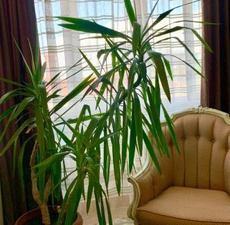 Plovdiv Center Hotel | HOTEL THE WHITE HOUSE Plovdiv